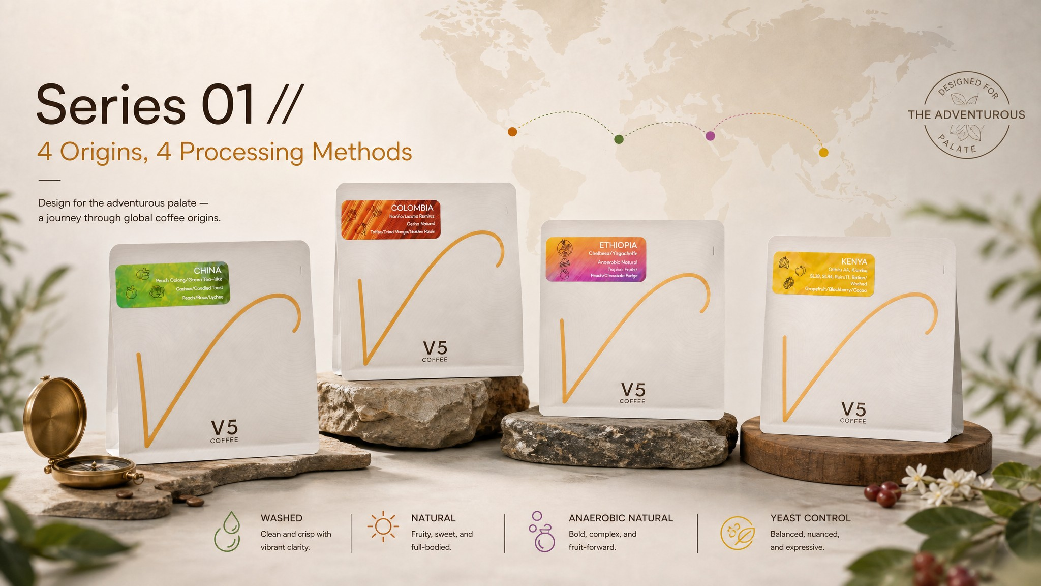 Deconstructing Flavour: How Coffee Processing Shapes Your Cup