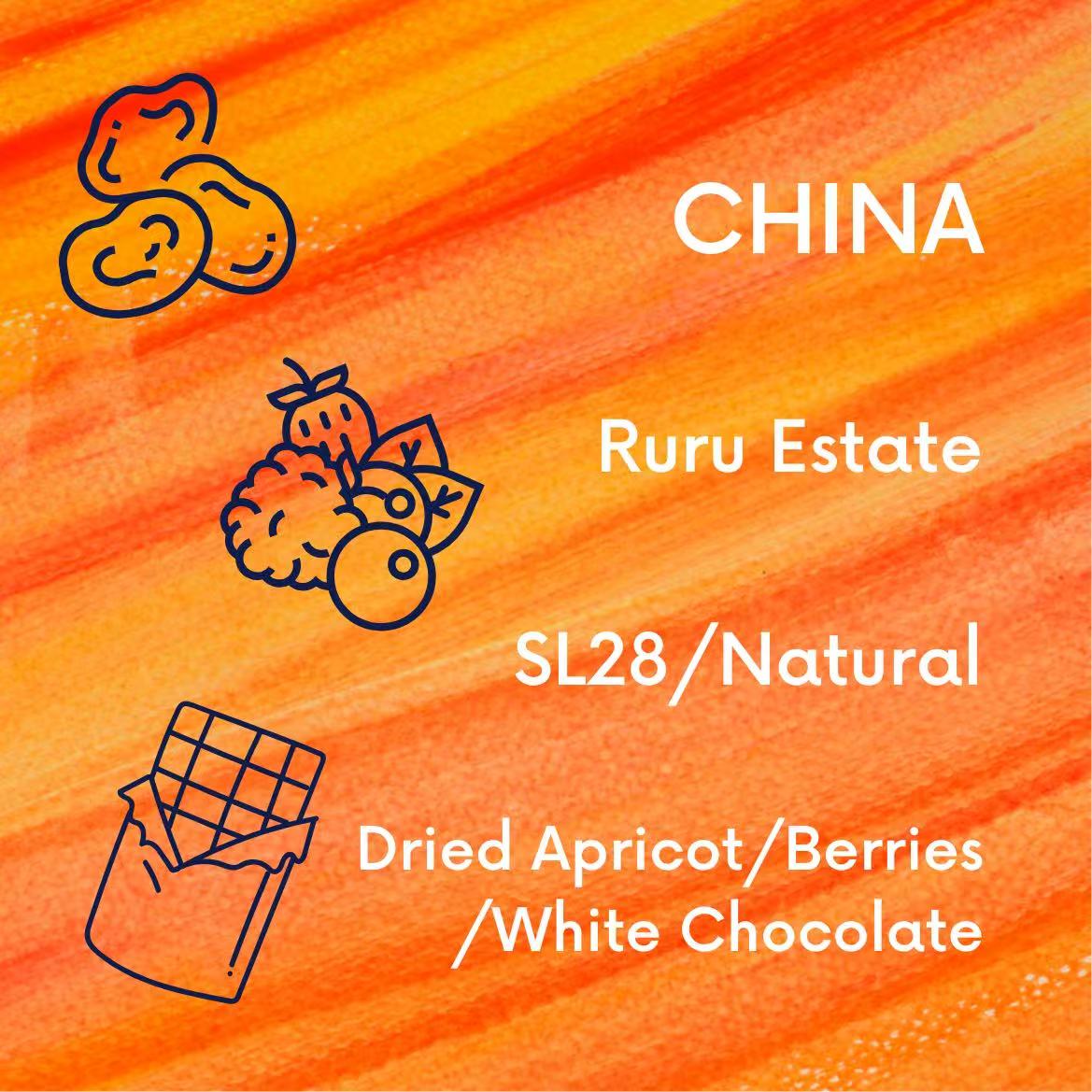 China Ruru - SL28 - Natural V5COFFEE