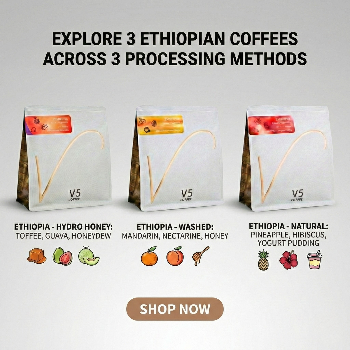 The Ethiopian Trilogy (Limited Filter Bundle) + Free Standard Shipping V5COFFEE