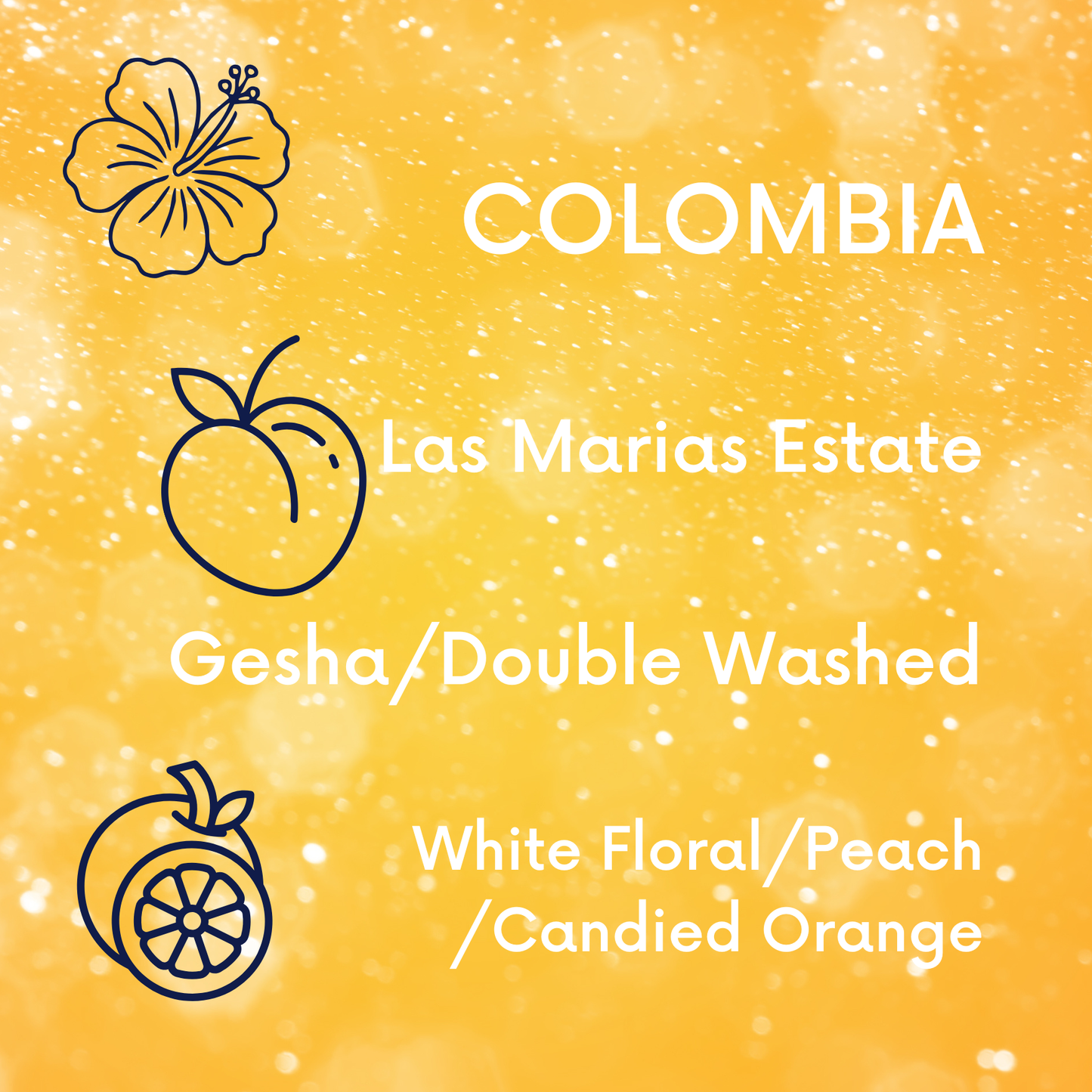 Colombia Las Marias Gesha V5COFFEE