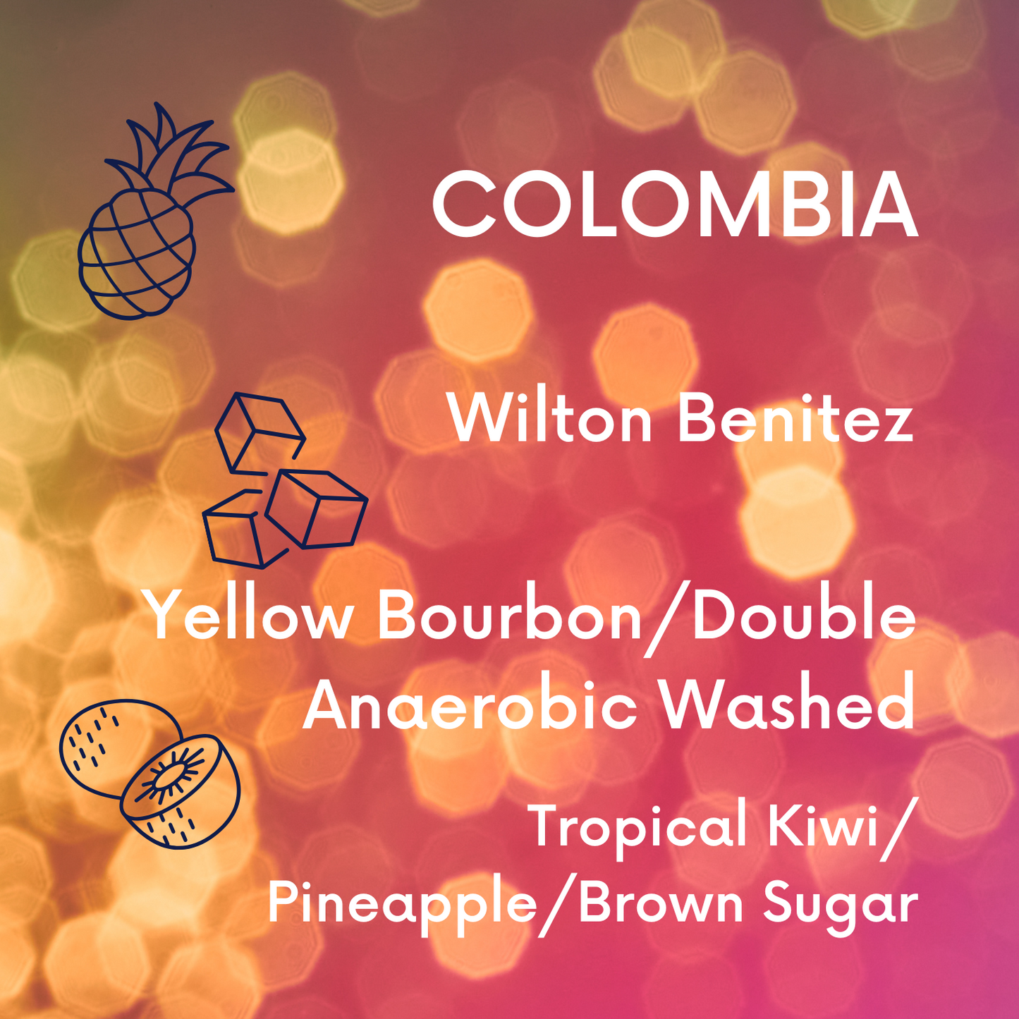 Colombia Wilton Benitez Yellow Bourbon