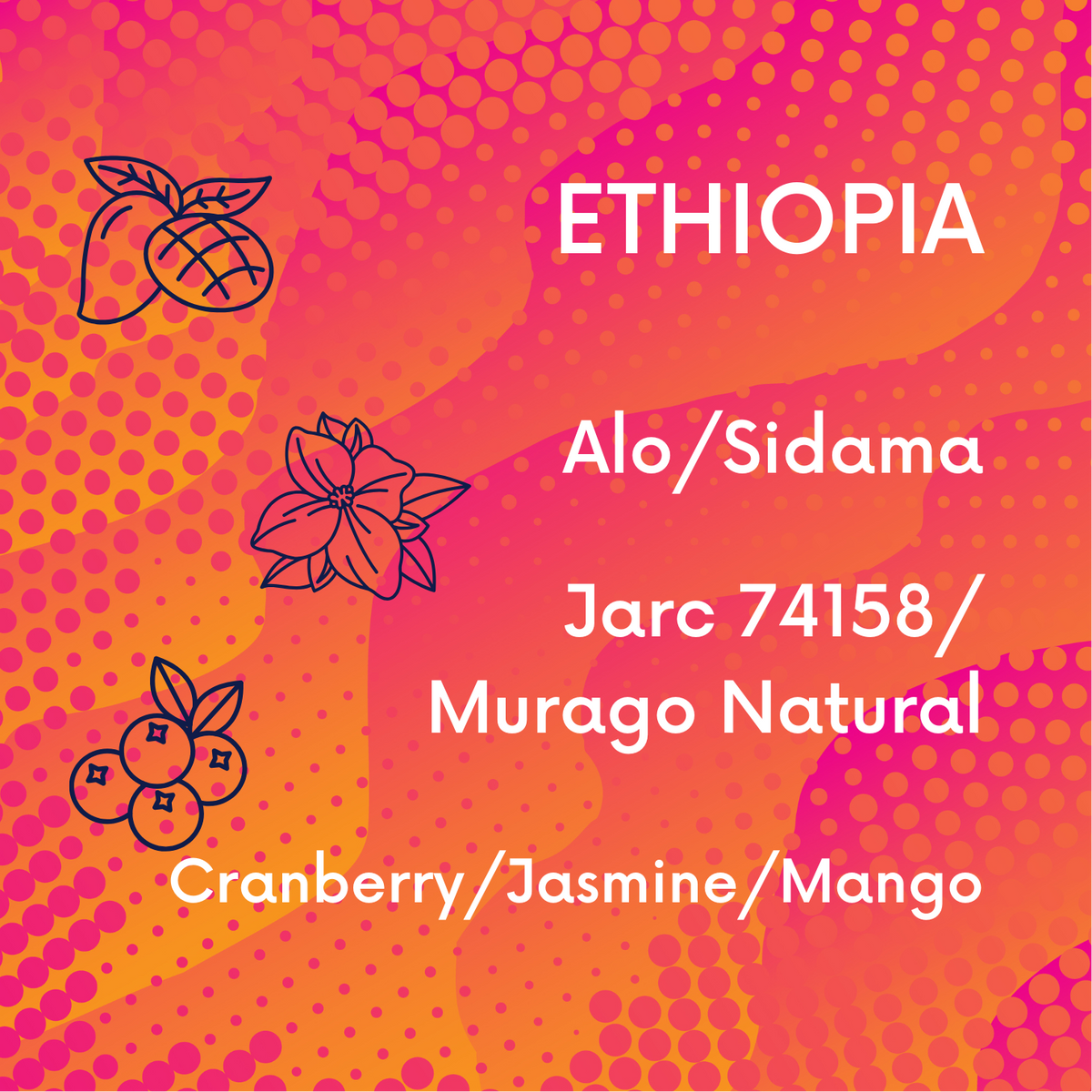 Ethiopia Alo Murago - Natural