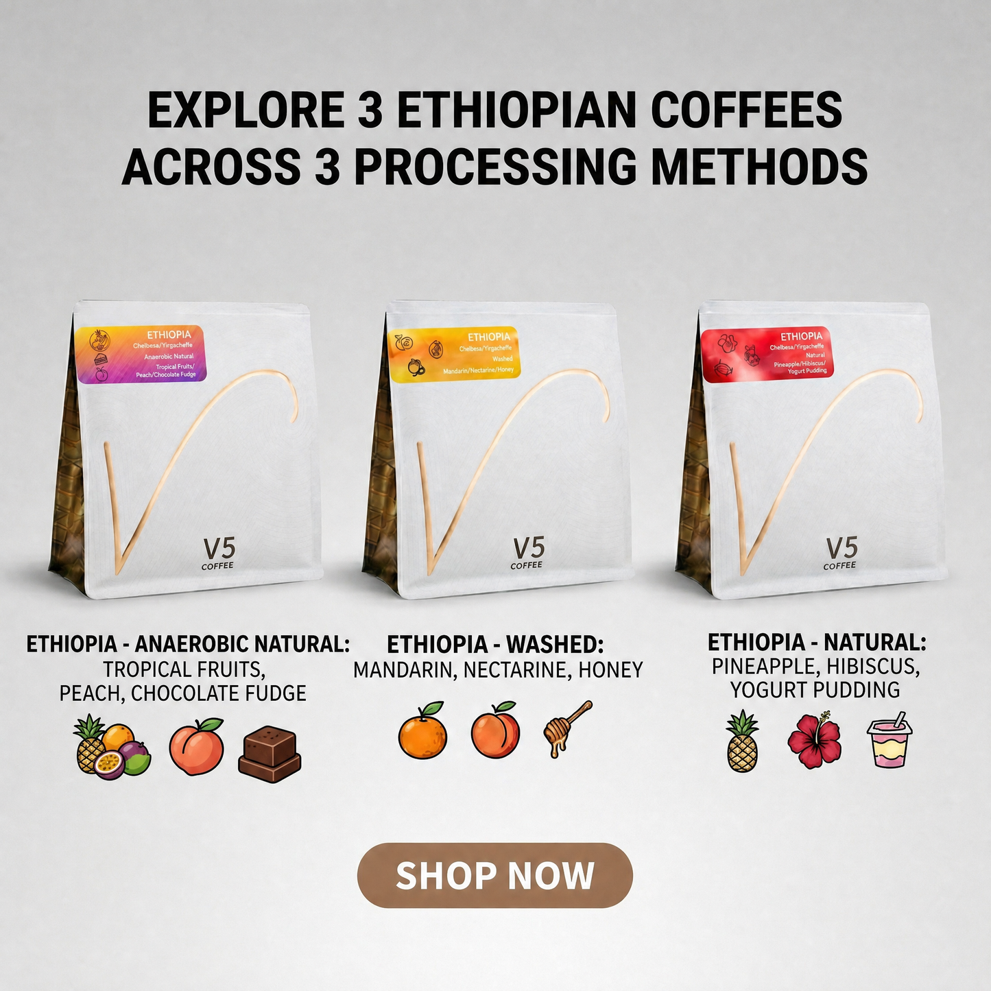 The Ethiopian Trilogy V5COFFEE
