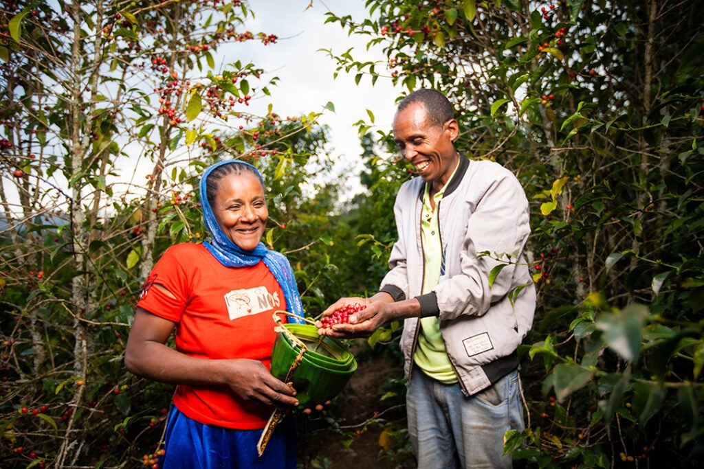 Ethiopia Alo Murago - Natural V5COFFEE
