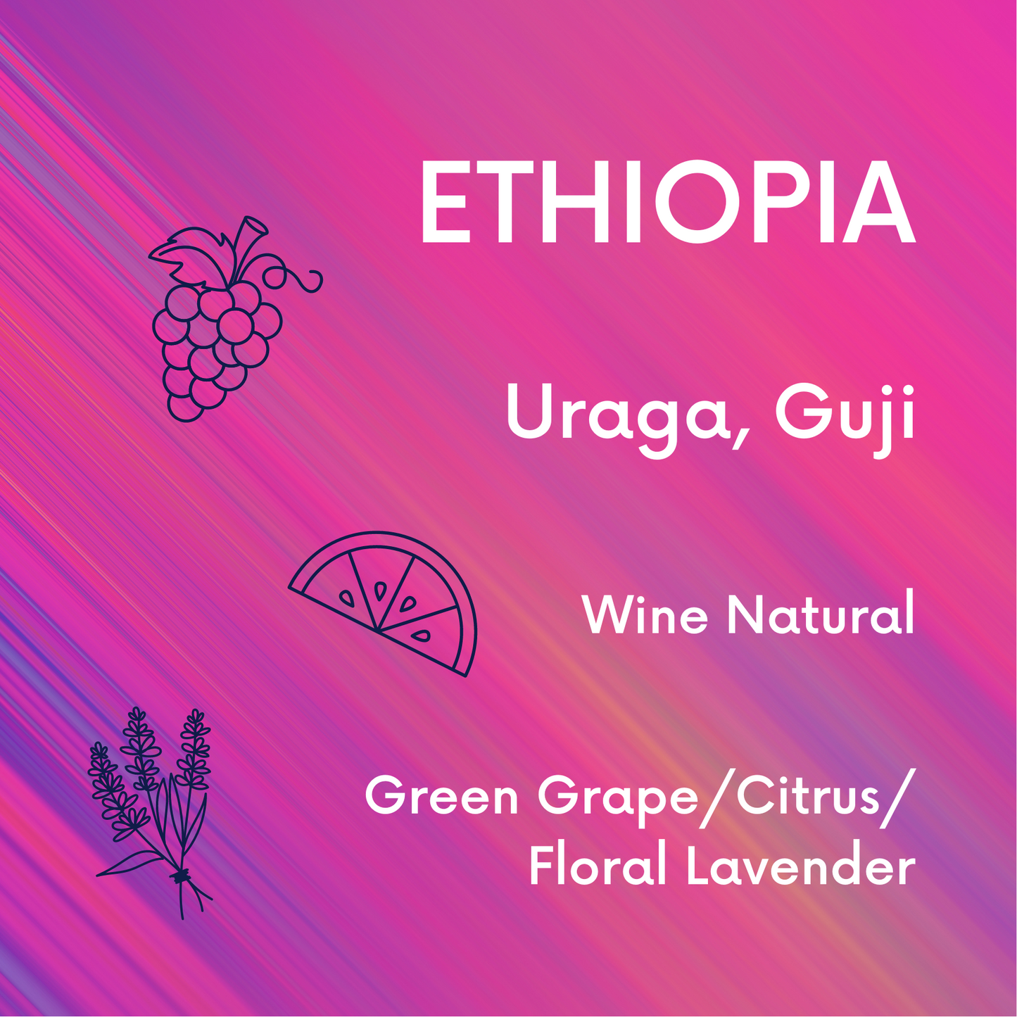Ethiopia Uraga - Wine Natural