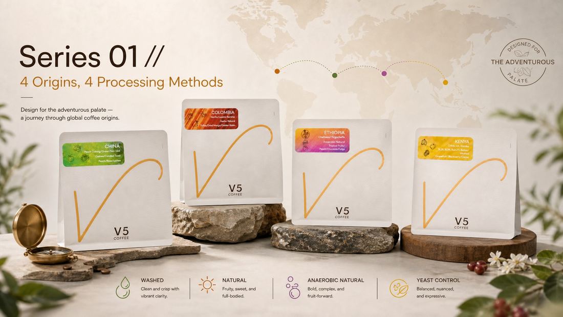 Deconstructing Flavour: A Masterclass in Coffee Processing with Series 01 // The Globe