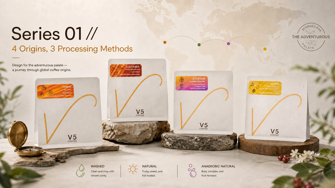 Deconstructing Flavour: A Masterclass in Coffee Processing with Series 01 // The Globe