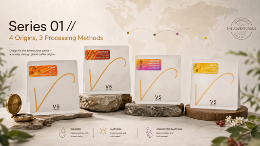 Deconstructing Flavour: A Masterclass in Coffee Processing with Series 01 // The Globe