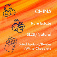 China Ruru - SL28 - Natural V5COFFEE