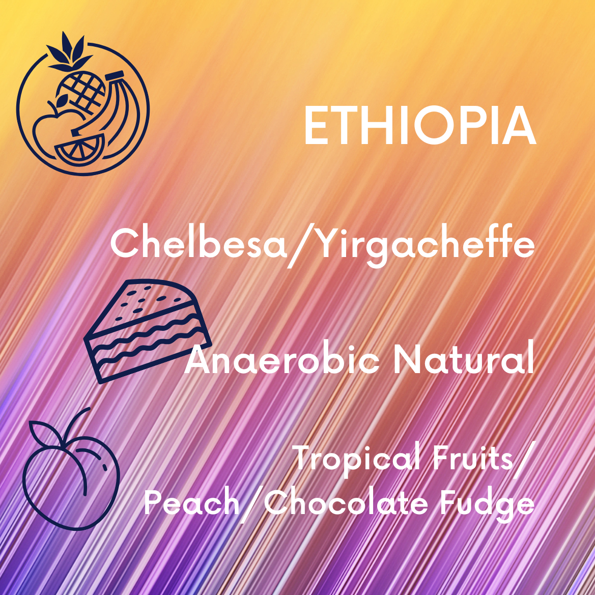 Ethiopia Chelbesa Anaerobic Natural V5COFFEE
