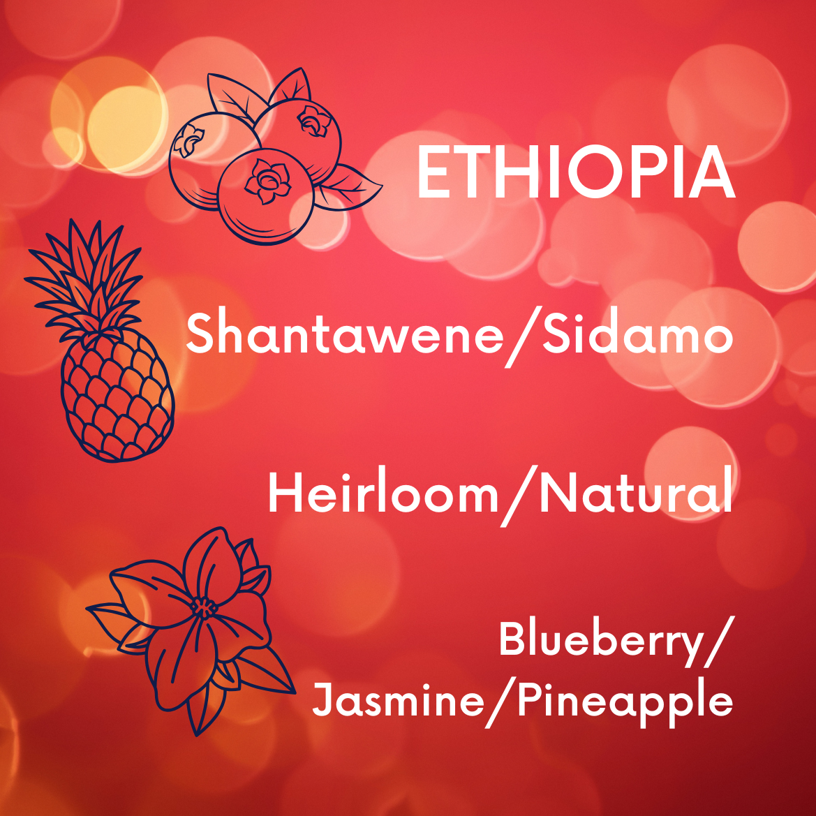 Ethiopia Shantawene Natural V5COFFEE