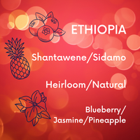 Ethiopia Shantawene Natural V5COFFEE