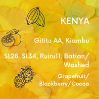 Kenya Gititu AA | Washed V5COFFEE