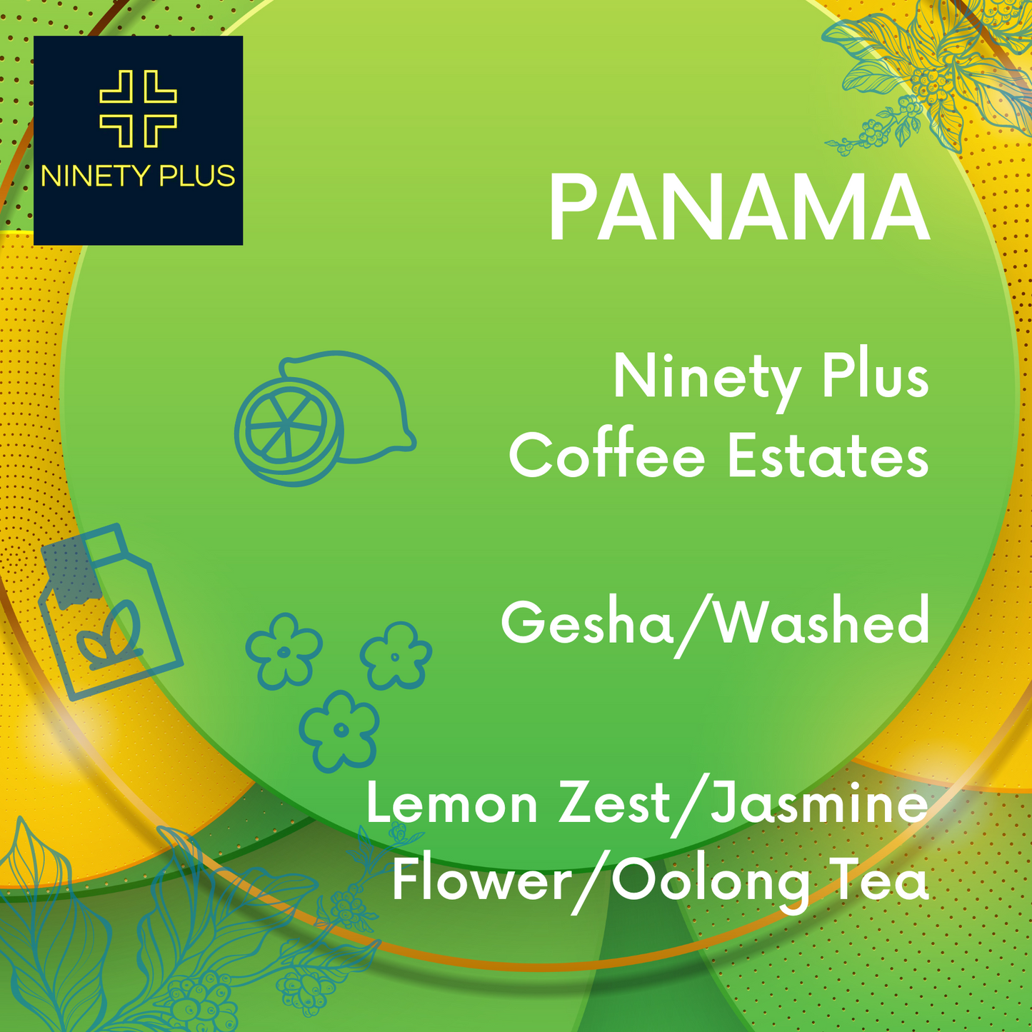 90+ Panama Gesha Washed