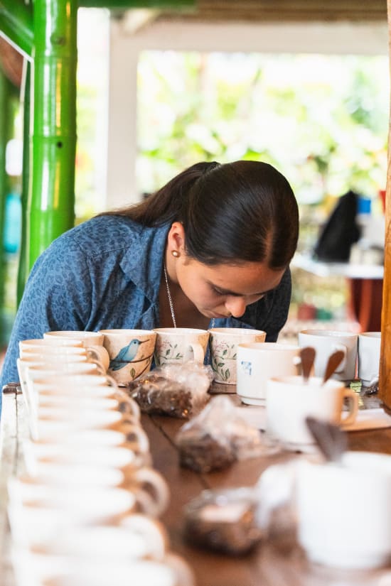 Colombia Natalia Lezama Ramirez Gesha Natural V5COFFEE