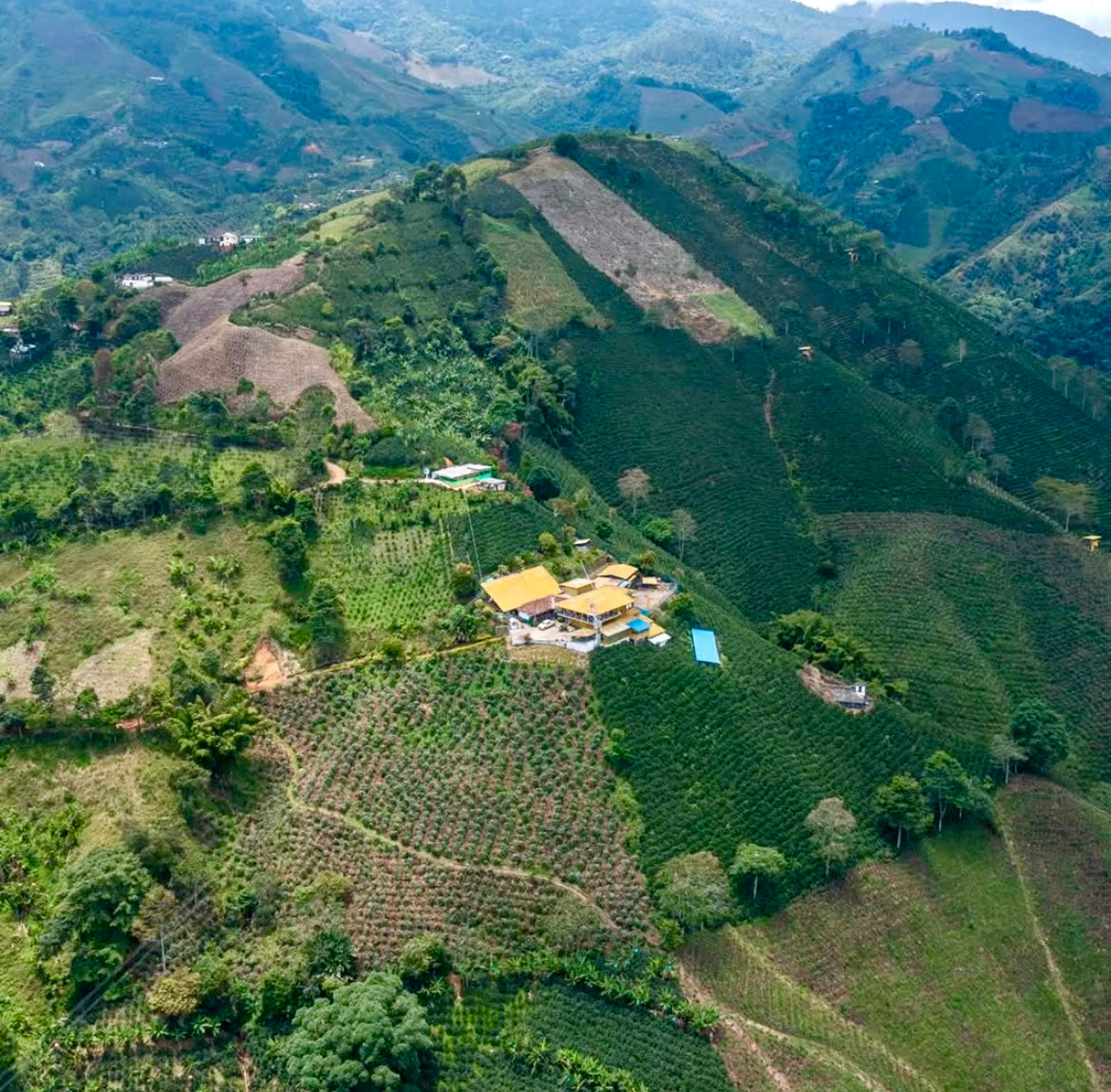 Colombia Casa Amarilla V5COFFEE