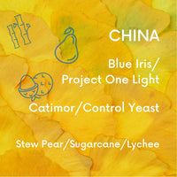 China Project One Light Blue Iris - Control Yeast V5COFFEE
