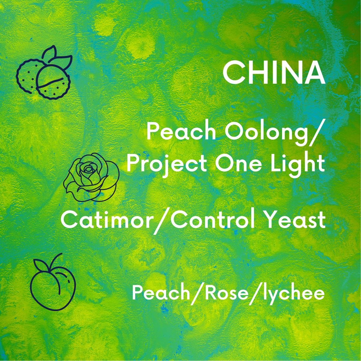 China Project One Light Peach Oolong - Control Yeast