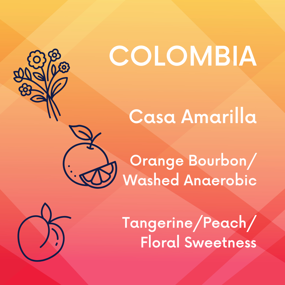 Colombia Casa Amarilla V5COFFEE