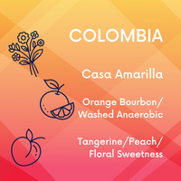Series 02 // The Dual Origin Masterclass Collection | Colombia x Ethiopia V5COFFEE