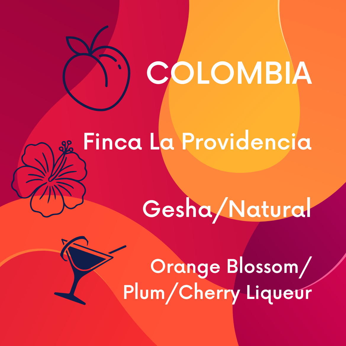 Colombia Finca La Providencia Gesha V5COFFEE