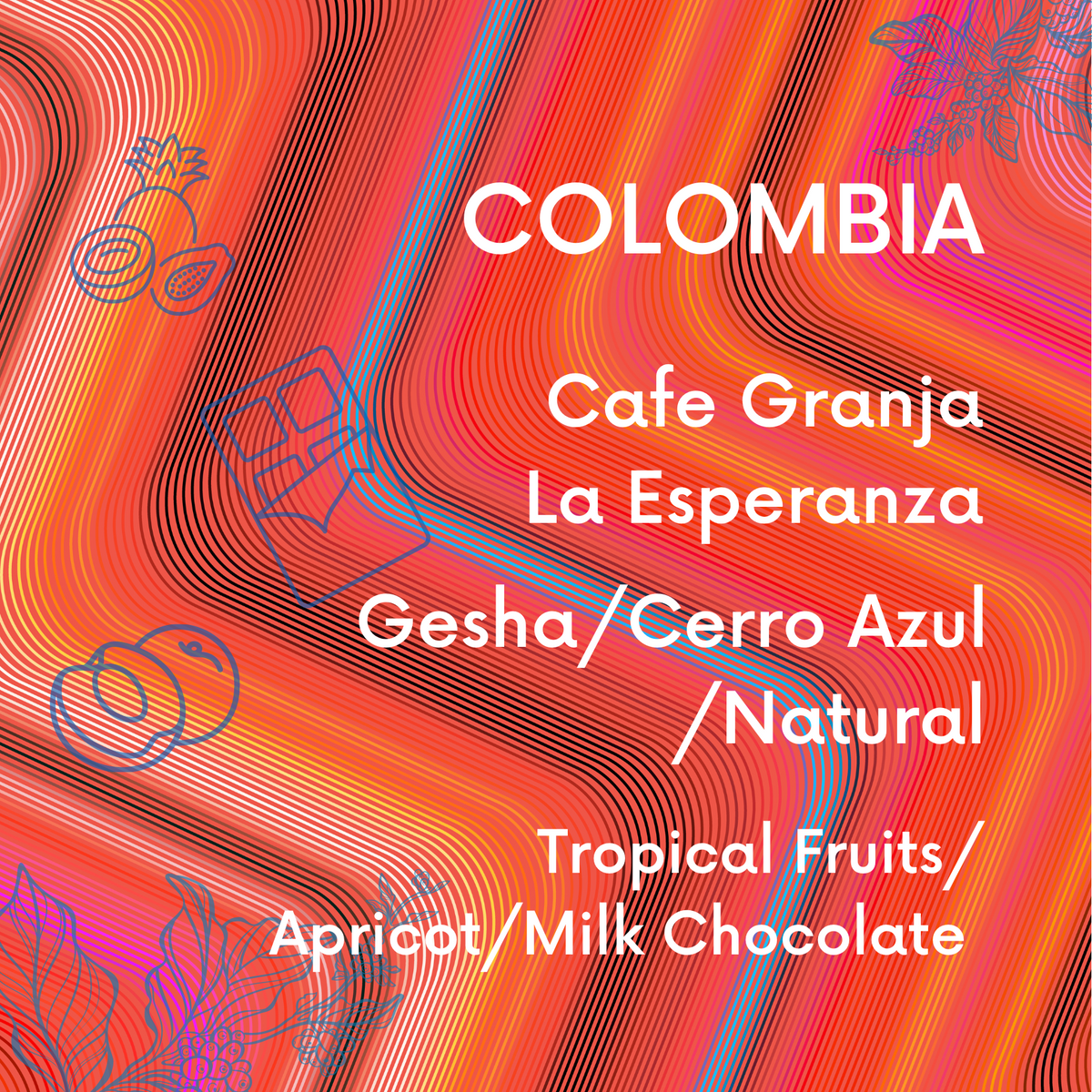 Colombia Finca La Esperanza Gesha - Natural