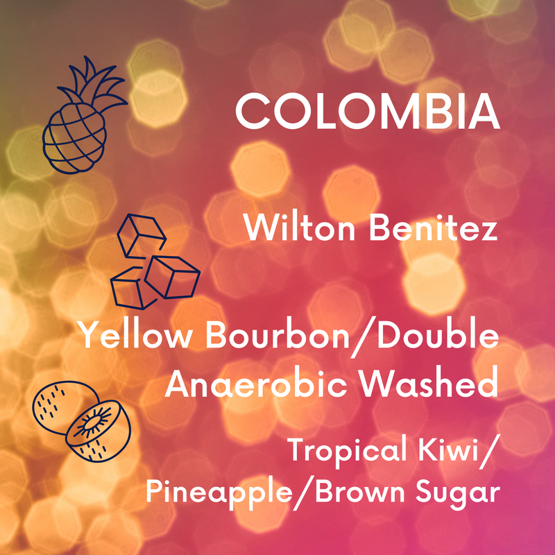 Colombia Wilton Benitez Yellow Bourbon