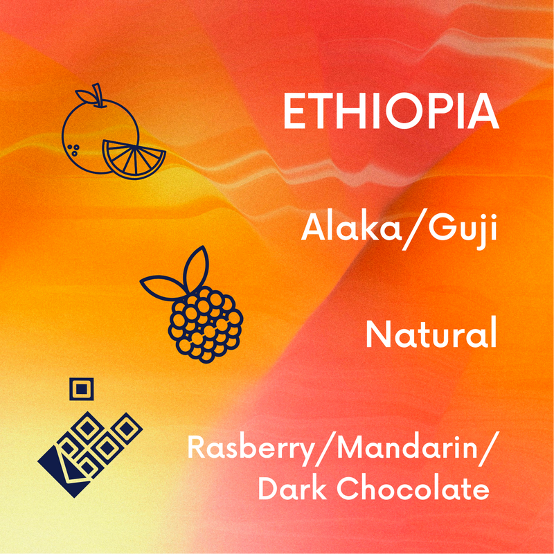 Ethiopia Alaka Guji
