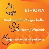 Series 02 // The Dual Origin Masterclass Collection | Colombia x Ethiopia V5COFFEE
