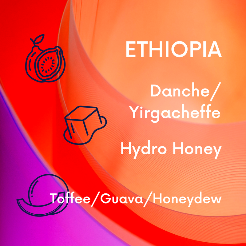 Ethiopia Danche Hydro Honey