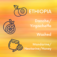 Ethiopia Danche - Washed V5COFFEE