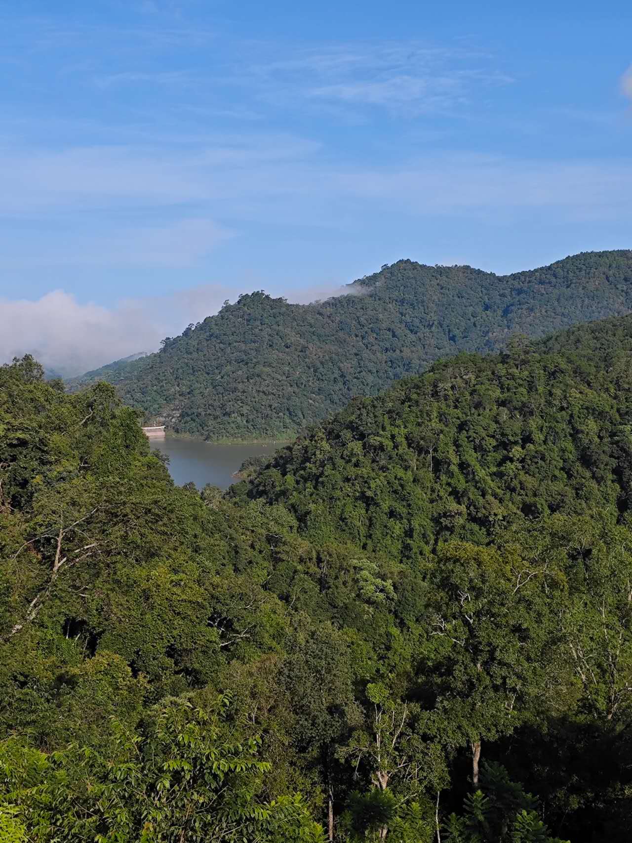 China Ruru - SL28 - Natural V5COFFEE