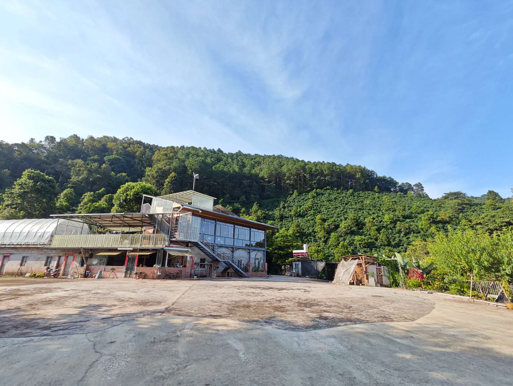 China Ruru - SL28 - Natural V5COFFEE