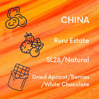 Rare China SL28 & Experimental Fermentation Bundle V5COFFEE
