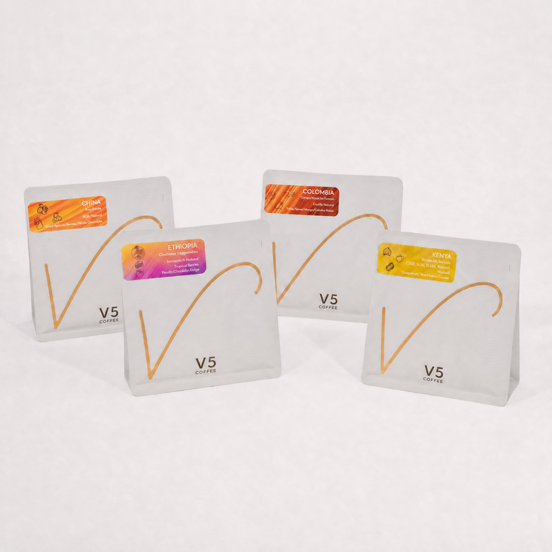 Series 01 // The Globe | 4-Origin Filter Coffee Bundle V5COFFEE