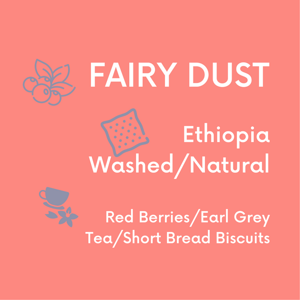 Fairy Dust Blend - V5COFFEE