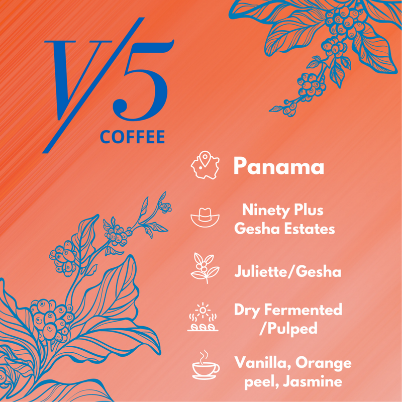 Ninety Plus Juliette - V5COFFEE