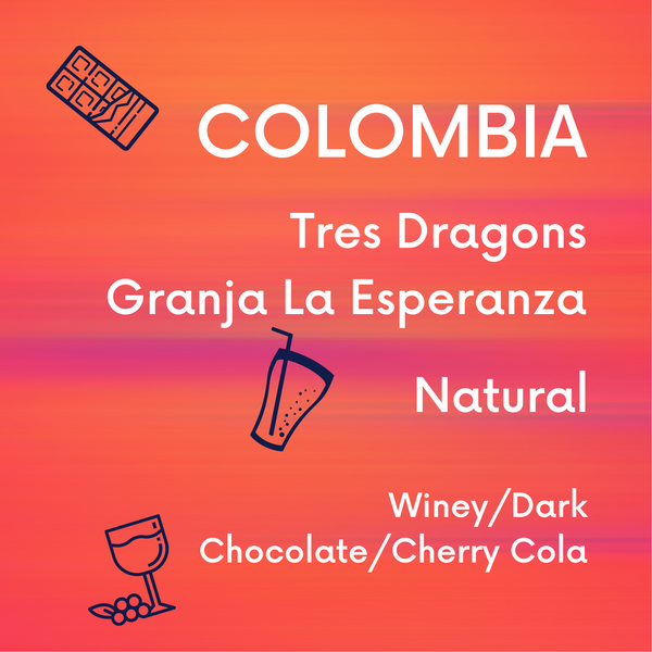 Colombia Finca La Esperanza Tres Dragones - V5COFFEE