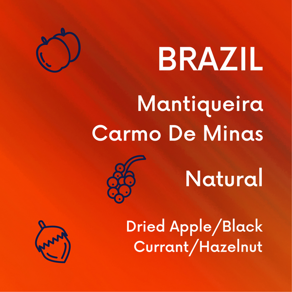 Brazil Mantiqueira - V5COFFEE